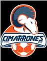 Cimarrones de Sonora