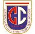 Sportivo Ameliano