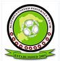 Niger Tornadoes FC